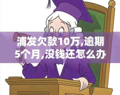 浦发欠款10万,逾期5个月,没钱还怎么办？面临法律诉讼风险