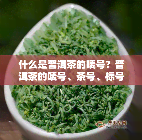 什么是普洱茶的唛号？普洱茶的唛号、茶号、标号有何含义？唛号尾数1-9分别代表什么？与哪些茶厂对应？