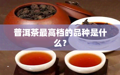 普洱茶更高档的品种是什么？