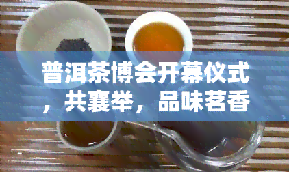 普洱茶博会开幕仪式，共襄举，品味茗香——普洱茶博会开幕仪式大举行