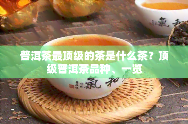 普洱茶最顶级的茶是什么茶？顶级普洱茶品种、一览