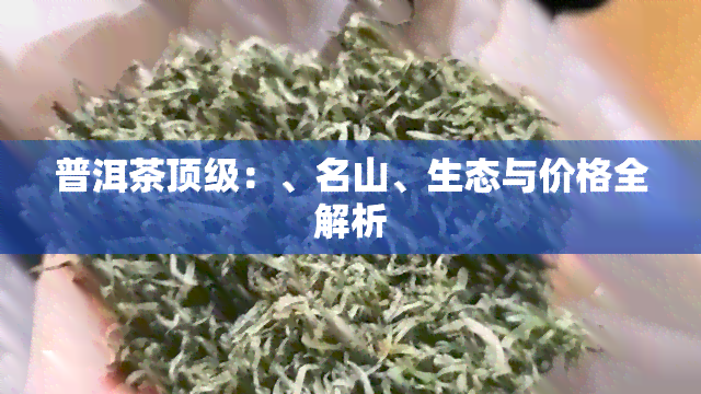 普洱茶顶级：、名山、生态与价格全解析