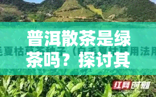 普洱散茶是绿茶吗？探讨其分类与特性