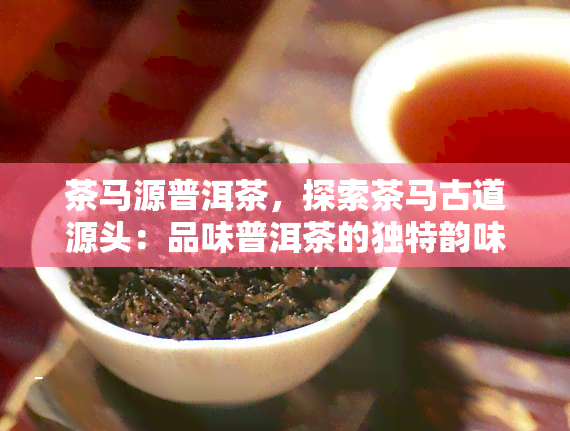 茶马源普洱茶，探索茶马古道源头：品味普洱茶的独特韵味