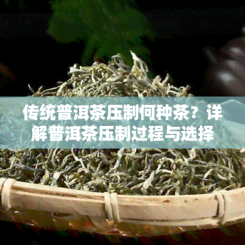 传统普洱茶压制何种茶？详解普洱茶压制过程与选择技巧