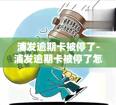 浦发逾期卡被停了-浦发逾期卡被停了怎么办