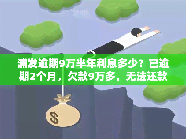 浦发逾期9万半年利息多少？已逾期2个月，欠款9万多，无法还款，该怎么办？