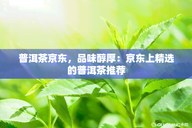 普洱茶京东，品味醇厚：京东上精选的普洱茶推荐