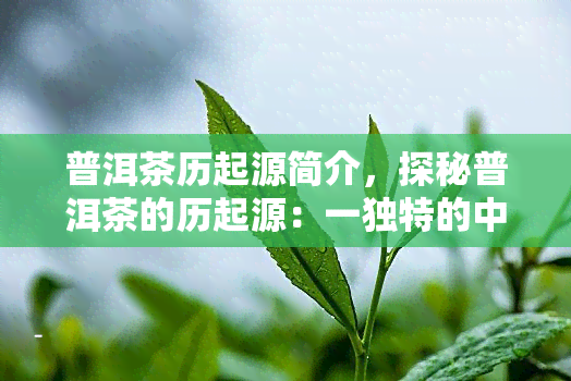 普洱茶历起源简介，探秘普洱茶的历起源：一独特的中国茶文化之旅