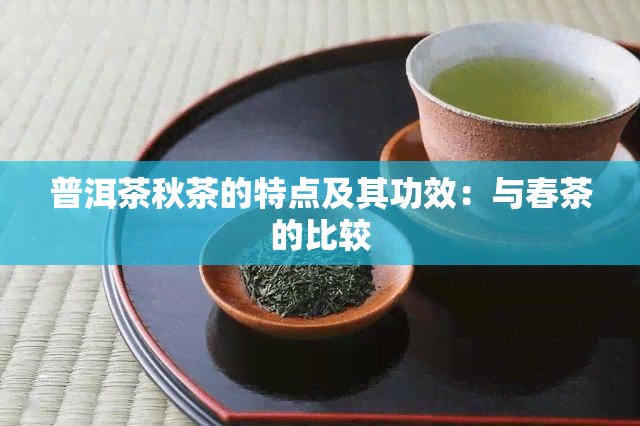 普洱茶秋茶的特点及其功效：与春茶的比较