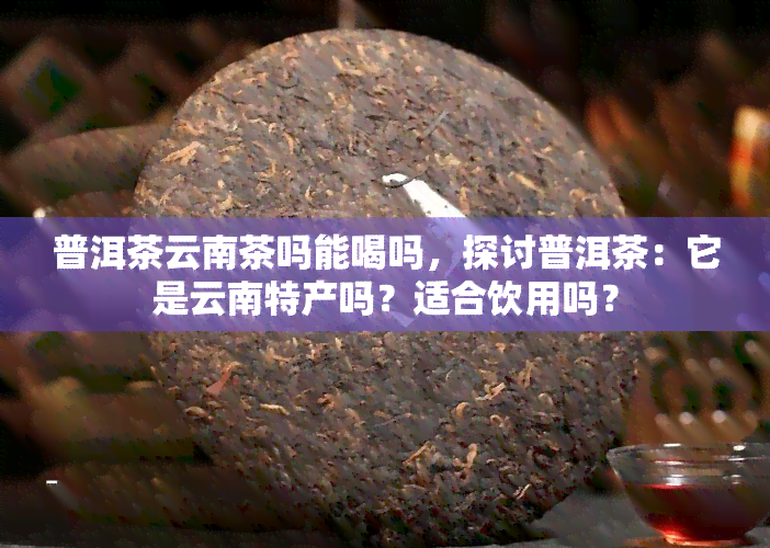 普洱茶云南茶吗能喝吗，探讨普洱茶：它是云南特产吗？适合饮用吗？