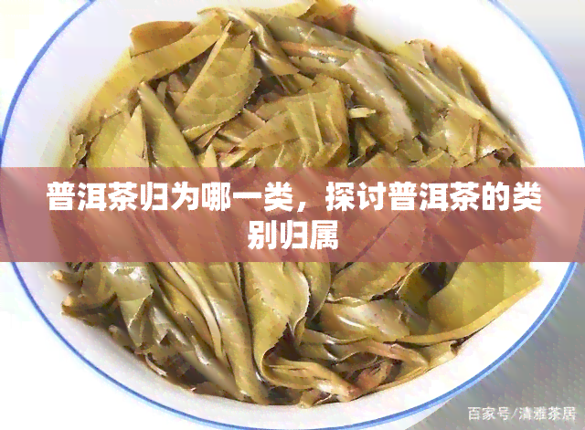 普洱茶归为哪一类，探讨普洱茶的类别归属