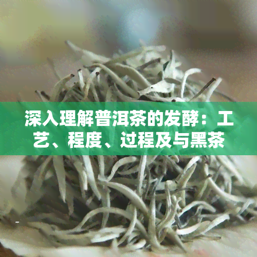 深入理解普洱茶的发酵：工艺、程度、过程及与黑茶的区别