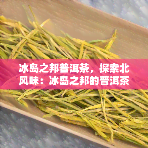 冰岛之邦普洱茶，探索北风味：冰岛之邦的普洱茶