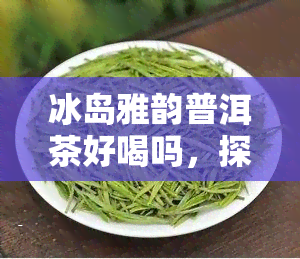 冰岛雅韵普洱茶好喝吗，探究冰岛雅韵普洱茶的口感：你是否会喜欢它的味道？