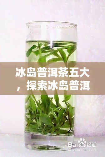 冰岛普洱茶五大，探索冰岛普洱茶五大的魅力与特色