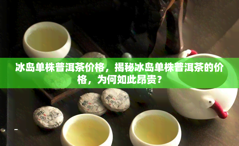 冰岛单株普洱茶价格，揭秘冰岛单株普洱茶的价格，为何如此昂贵？