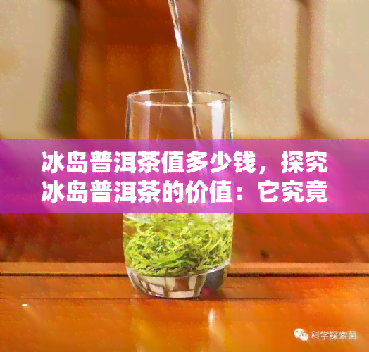 冰岛普洱茶值多少钱，探究冰岛普洱茶的价值：它究竟值多少钱？