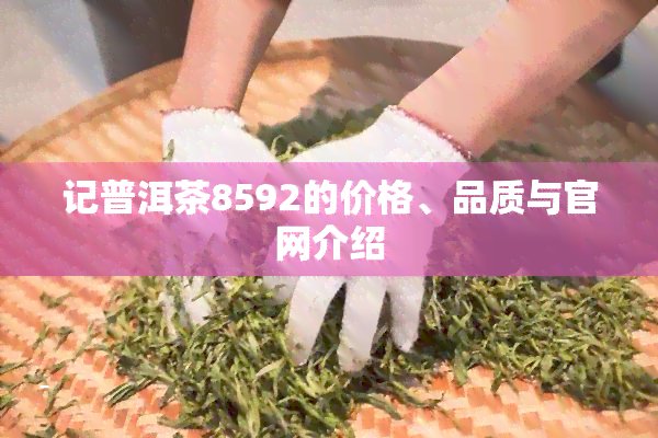 记普洱茶8592的价格、品质与官网介绍