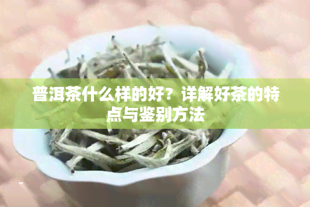 普洱茶什么样的好？详解好茶的特点与鉴别方法