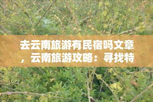 去云南旅游有民宿吗文章，云南旅游攻略：寻找特色民宿，让旅途更温馨