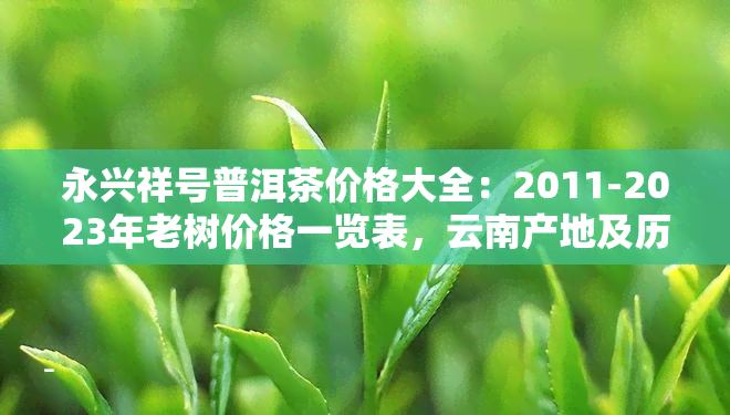 永兴祥号普洱茶价格大全：2011-2023年老树价格一览表，云南产地及历介绍