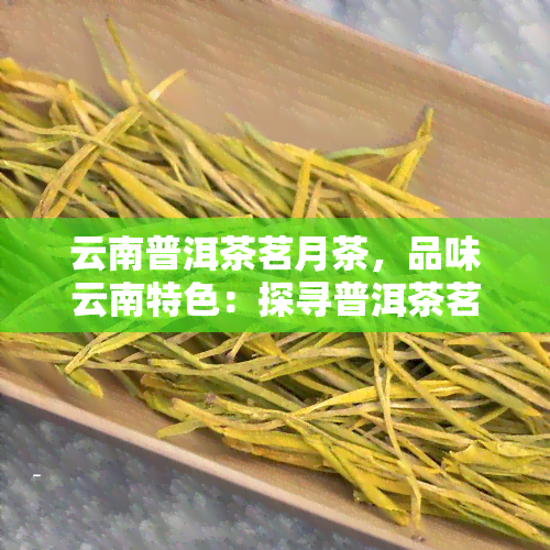 云南普洱茶茗月茶，品味云南特色：探寻普洱茶茗月茶的魅力