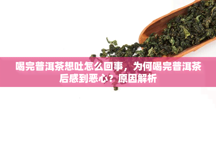 喝完普洱茶想吐怎么回事，为何喝完普洱茶后感到恶心？原因解析