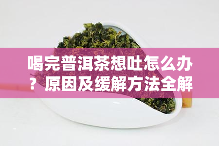 喝完普洱茶想吐怎么办？原因及缓解方法全解析