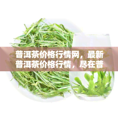 普洱茶价格行情网，最新普洱茶价格行情，尽在普洱茶价格行情网！