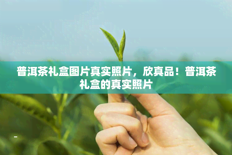 普洱茶礼盒图片真实照片，欣真品！普洱茶礼盒的真实照片