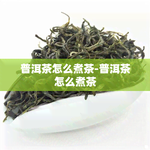 普洱茶怎么煮茶-普洱茶怎么煮茶