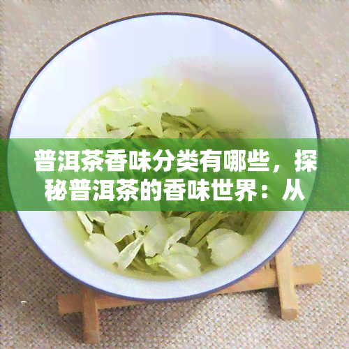 普洱茶香味分类有哪些，探秘普洱茶的香味世界：从醇厚到果香，了解其丰富多样的香气类型