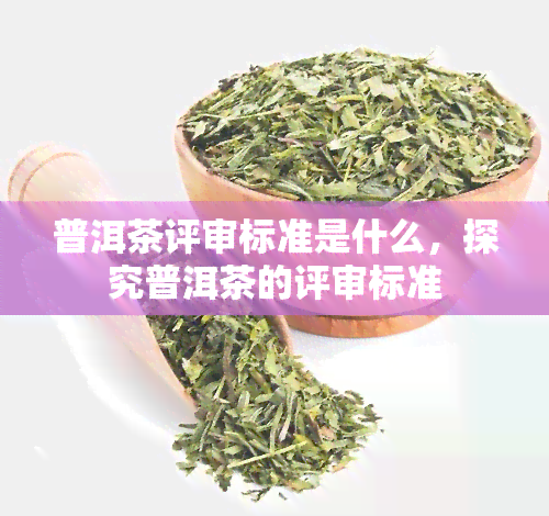 普洱茶评审标准是什么，探究普洱茶的评审标准