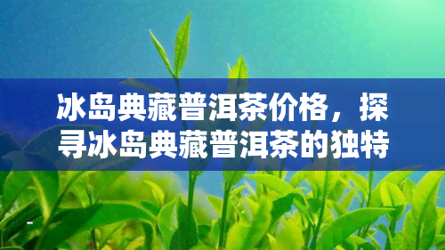 冰岛典藏普洱茶价格，探寻冰岛典藏普洱茶的独特魅力：价格解析与品鉴指南