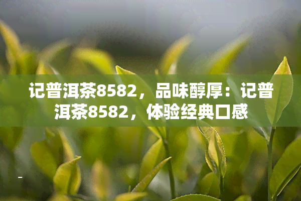 记普洱茶8582，品味醇厚：记普洱茶8582，体验经典口感