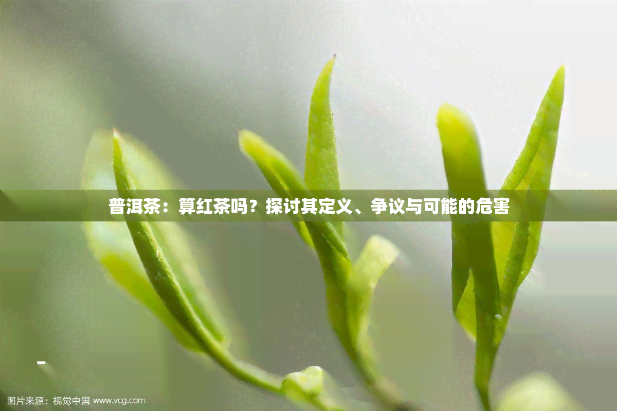 普洱茶：算红茶吗？探讨其定义、争议与可能的危害