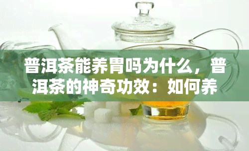 普洱茶能养胃吗为什么，普洱茶的神奇功效：如何养胃？