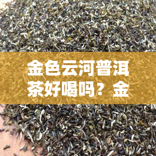 金色云河普洱茶好喝吗？金色云河茶厂与云河茶厂的区别，金色云河官网信息