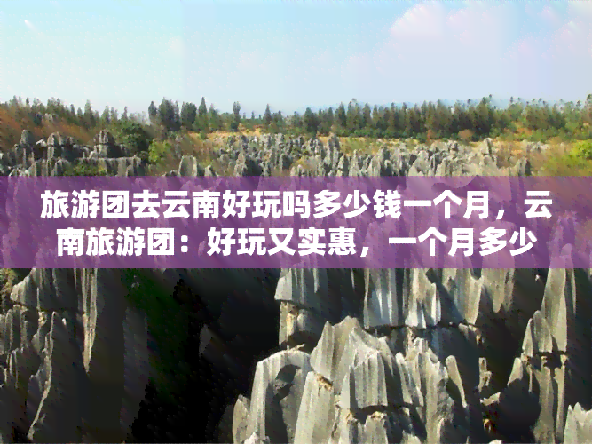 旅游团去云南好玩吗多少钱一个月，云南旅游团：好玩又实惠，一个月多少钱？