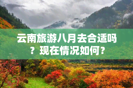 云南旅游八月去合适吗？现在情况如何？