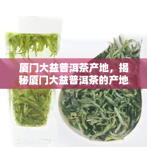 厦门大益普洱茶产地，揭秘厦门大益普洱茶的产地，品味地道的茗香