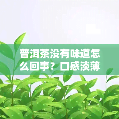 普洱茶没有味道怎么回事？口感淡薄的原因解析