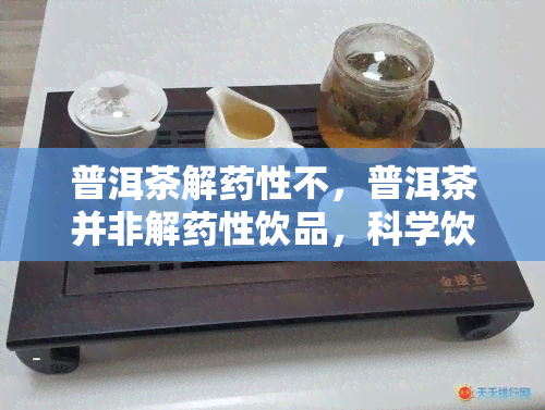 普洱茶解药性不，普洱茶并非解药性饮品，科学饮用需谨