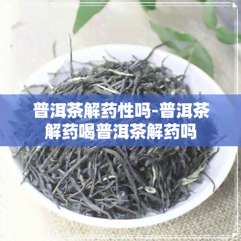 普洱茶解药性吗-普洱茶解药喝普洱茶解药吗