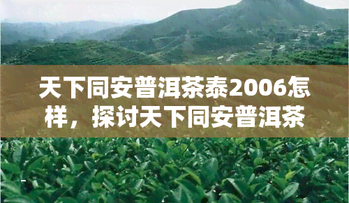 天下同安普洱茶泰2006怎样，探讨天下同安普洱茶泰2006的品质与市场表现