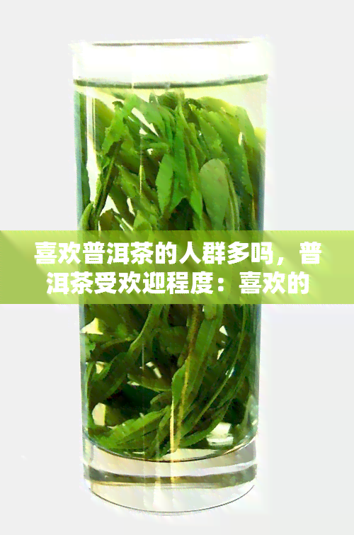 喜欢普洱茶的人群多吗，普洱茶受欢迎程度：喜欢的人群有多少？