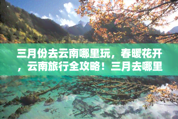 三月份去云南哪里玩，春暖花开，云南旅行全攻略！三月去哪里玩更好？