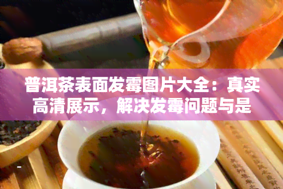 普洱茶表面发霉图片大全：真实高清展示，解决发霉问题与是否能喝的疑虑