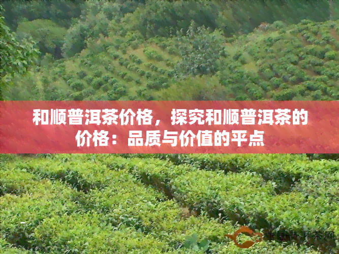 和顺普洱茶价格，探究和顺普洱茶的价格：品质与价值的平点